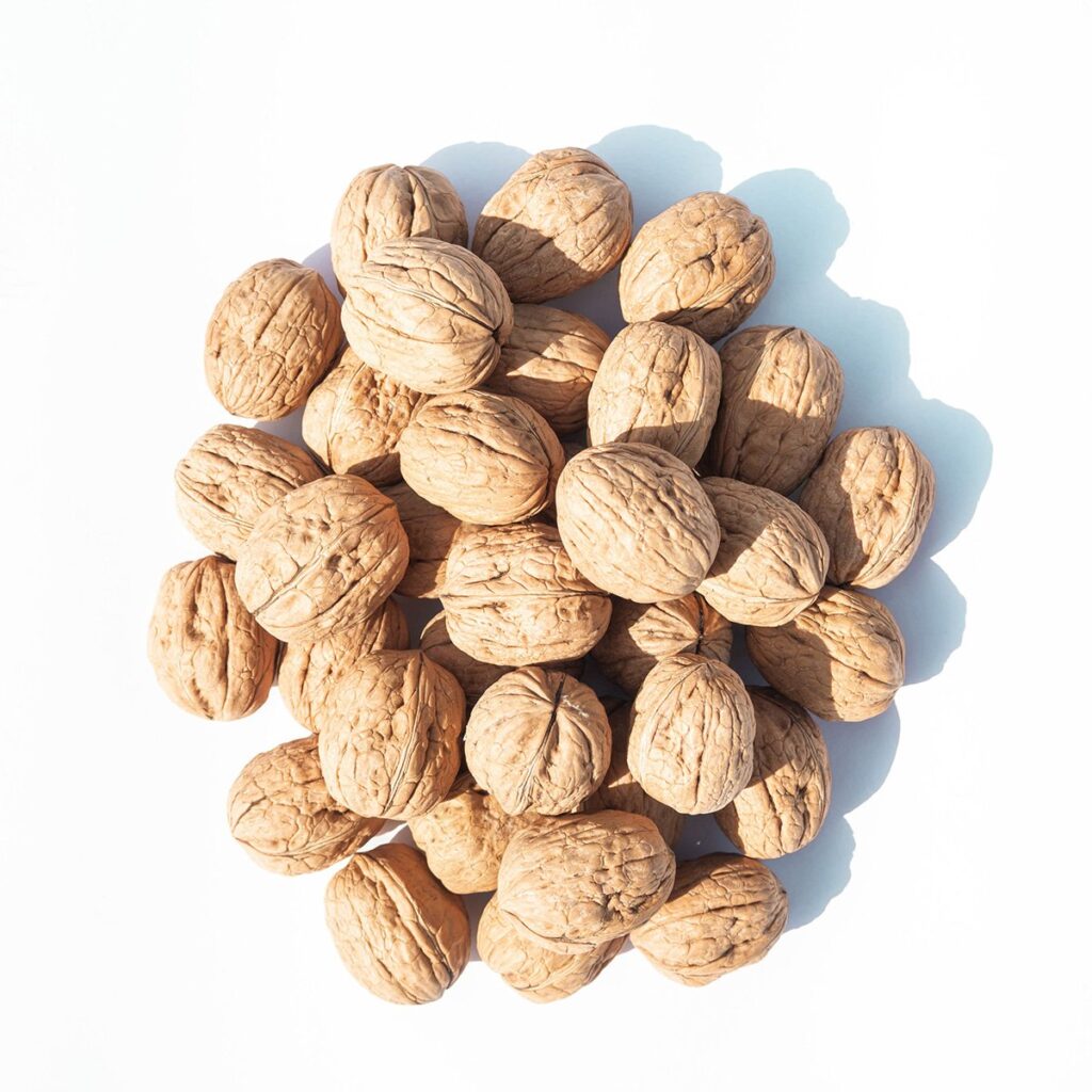 Καρύδια Με Κέλυφος Χονδρική - Χονδρικό Εμπόριο Ξηρών Καρπών