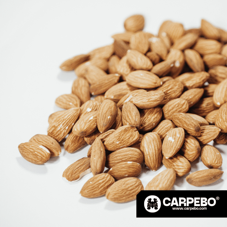 Raw Non Pareil almonds, wholesale, CARPEBO