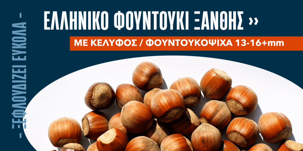Χονδρική Πώληση Φουντούκια Ελληνικά Ξάνθης - Tonda di Giffoni - σε Ανταγωνιστικές Τιμές από την CARPEBO - Ζητήστε Προσφορά!