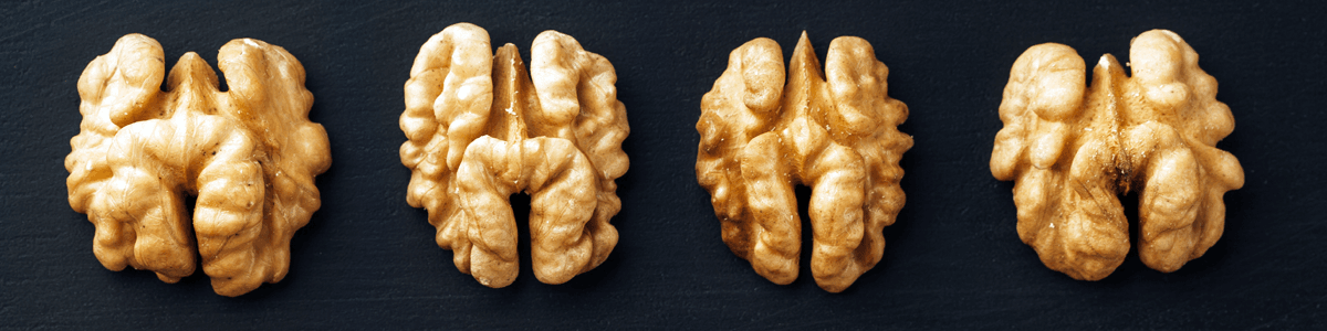 Ανακαλύψτε γιατί η premium ελληνική καρυδόψιχα απογειώνει τις πωλήσεις σας. Ποιότητα, γεύση και αξιοπιστία για τη ζαχαροπλαστική και το λιανεμπόριο.