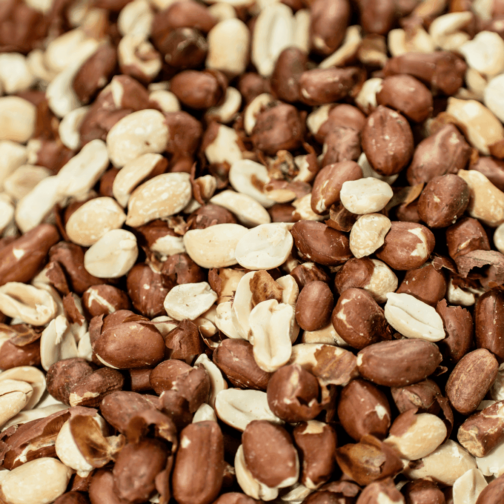 Χονδρική Πώληση Φυστίκια Αράπικα με Φλούδα - Χονδρικό Εμπόριο Ξηρών Καρπών - CARPEBO